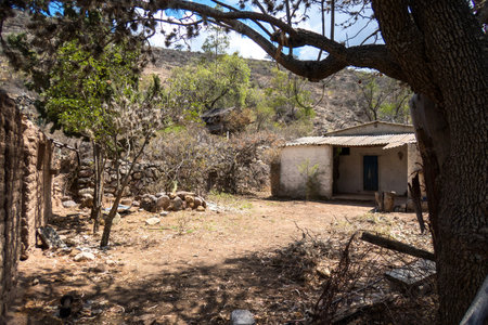 A An abandoned rural house in the mountains with cactusの写真素材