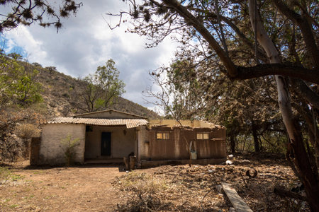 A An abandoned rural house in the mountains with cactusの写真素材