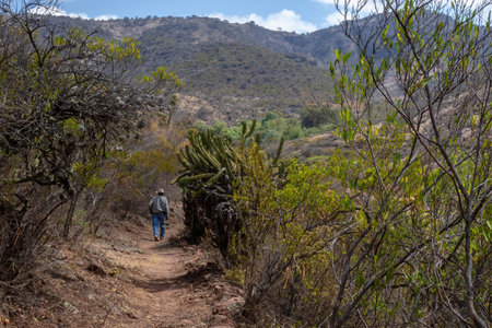 Cowboy man walks on a trail in the mountains semi desert.の写真素材