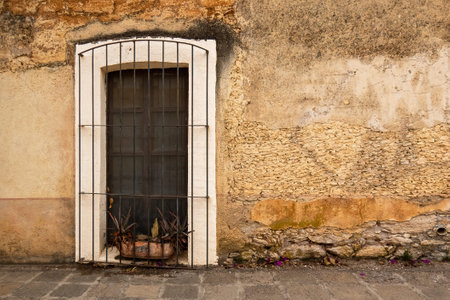 A nice old mexican window with a clay potの写真素材