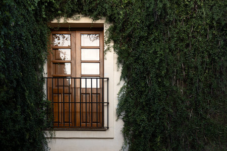 A Window surrounded by greenery, ivy and vines covering a house. with space for textの写真素材