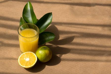 A Fresh orange juice with fruit on a rustic background and space for text on the right sideの写真素材