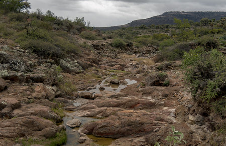A Mexican landscape of rocky stream flowing in Sierra Gorda mountains of Victoria Guanajuatoの写真素材