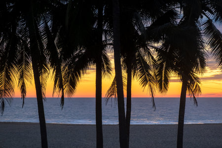A Beautiful Sunset on beach with palm trees with space for text