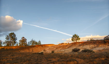 A Landscape with pine trees and dunes in Mexico with moon in the sky and space for text
