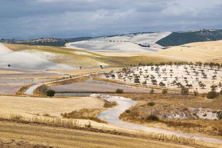 Fields landscape in spanish central plateauの写真素材