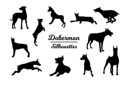 Doberman dog silhouettesのイラスト素材