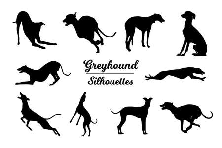 Greyhound dog silhouettes. Black and white outlineのイラスト素材