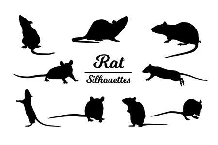 Rat animal silhouettes. Black and white outline.のイラスト素材