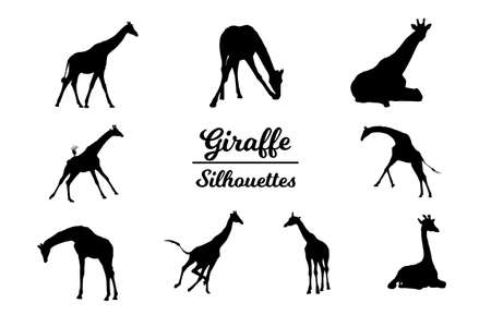 Giraffe animal silhouettes. Black and white outline.のイラスト素材