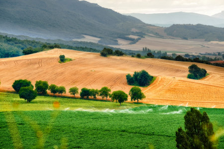 Irrigation by sprinkler fields, San MartÃ­n del Zar, Burgos, Spain, Europe