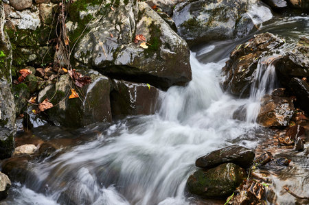Detail of Mountain stream, Cantabria, Spain, Europe