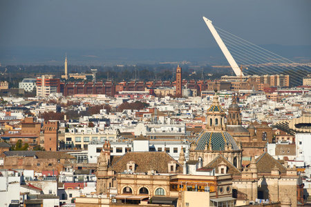 View of Seville from the Tower-Bell of the Giraldaのeditorial素材