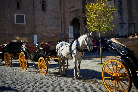 Horse and carrriage outside Seville Cathedral, Seville, Andalusia, Spain, Europeのeditorial素材