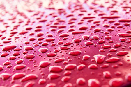 Water drops on red color backgroundの写真素材