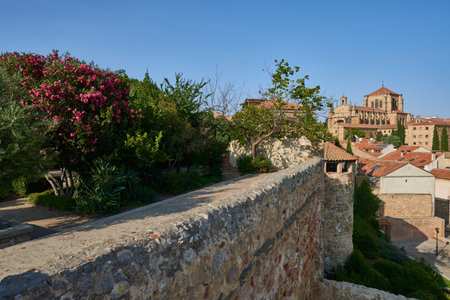San Esteban Convent View from Orchard of Calixto and Melibea Park, Salamanca City, Spain, Europe.
