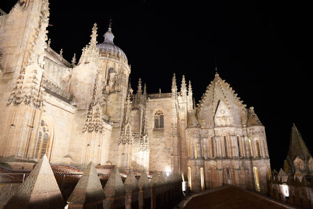 New Cathedral of Salamanca, Salamanca City, Spain, Europe.の写真素材