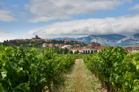 The guard. Rioja Alavesa. Alava province, Basque Country, Euskadi, Euskal Herria, Spain, Europe.のeditorial素材