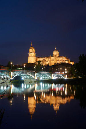 View of the Cathedral of Salamanca at evening with the bridge in the foreground, Salamanca, Spain, Europe.のeditorial素材