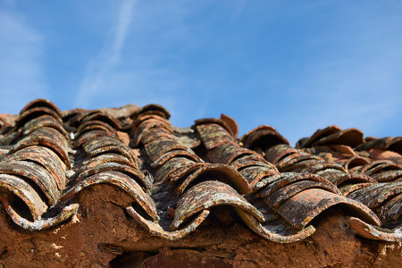 Roof Tiles over Adobe House, Province of zamora, Castilla y Leon, Spain, Europe.のeditorial素材