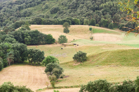 View of the Monte Babio, Amurrio, Araba, Basque Country, Euskadi, Spainの写真素材