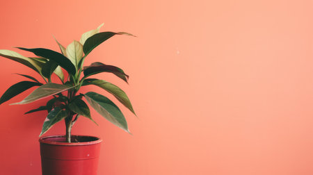 Home decoration concept with. copyspaceの素材