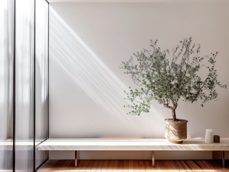 Modern interiors with natural light coming in from windows. Minimalist composition.の素材