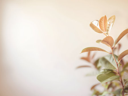 Minimalist tabletop arrangements in neutral tones. Home decor composition.の素材
