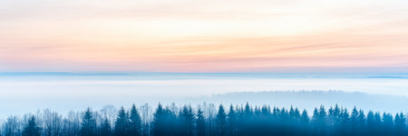 Serene forest with dreamy sky and foggy minimalist mood. Minimalist landscape conceptual image for backgrounds, ads or templates.の素材