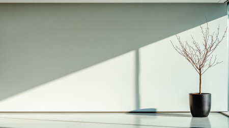 Minimalist empty room interiors with minimal furniture or decor, ample blank copyspace and daylight. Residential interior design.の素材