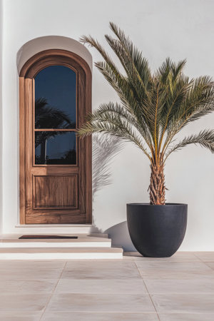 A beautiful wooden door stands against a clean white wall, accompanied by a tall palm tree in a stylish black pot, creating a serene outdoor entrance.の素材