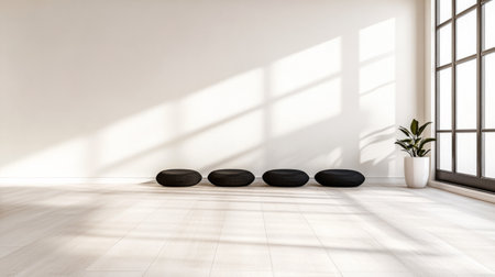 A serene indoor environment showcases four smooth black stones lined up against a wall, alongside a tall green plant in a white pot, illuminated by sunlight.の素材