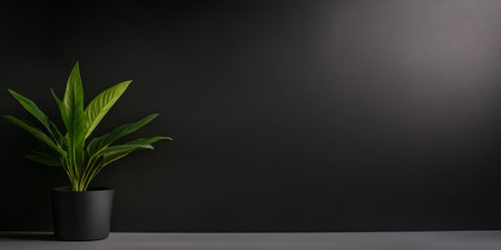 The vibrant green plant in a simple black pot stands out against a dark wall, creating a calming and stylish atmosphere in a contemporary space.の素材