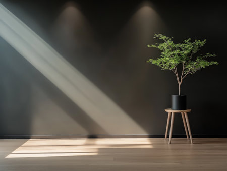 A small green plant sits in a black pot on a wooden stool, positioned against a dark wall. Rays of sunlight filter in, creating a serene atmosphere in this minimalistic space.の素材