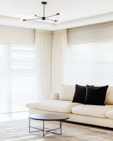 A bright living room boasts a stylish sofa with black cushions, minimal decor, and a modern light fixture, all enhanced by natural light from sheer curtains.の素材