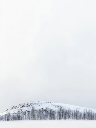 A serene winter landscape features a snow-covered hill topped with a rocky formation. A line of bare trees stretches along the base against a pale overcast sky.の素材