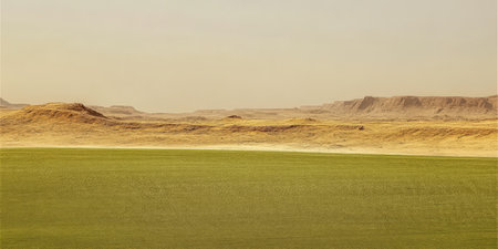 A vast desert landscape featuring rolling sand dunes and rocky formations. Lush green areas contrast with the dry earth set against a hazy sky creating a unique natural scene.の素材