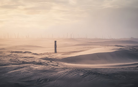 A vast desert stretches out with rolling sand dunes under a soft hazy light. A lone wooden post stands in the foreground evoking a sense of isolation and quiet beauty.の素材