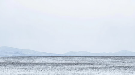 A tranquil winter landscape showcases a vast still lake reflecting the soft gray sky. Distant hills are blanketed in snow creating a seamless blend of nature's hues.の素材