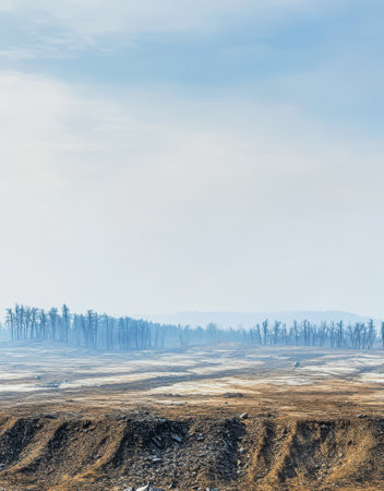 A barren landscape reveals scorched earth and charred trees after a wildfire has swept through the region leaving a trail of destruction under a hazy sky.の素材