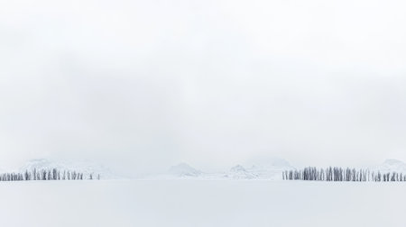 A vast snowy expanse stretches out revealing a line of dark trees against a backdrop of soft grey clouds. Distant mountains loom adding depth to the serene winter scene.の素材