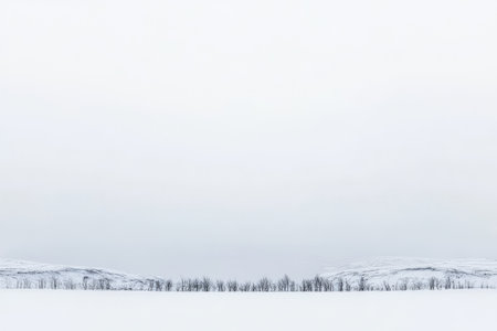 A serene winter landscape showcases a vast expanse of snow with bare trees lining the horizon. Distant hills are partially obscured by a soft gray atmosphere creating a calm scene.の素材