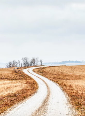 A winding dirt road stretches through golden fields leading to a cluster of bare trees on the horizon. The sky is overcast creating a serene autumn ambiance.の素材