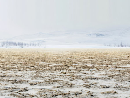 A vast snowy landscape reveals a marshy expanse with patches of wet earth under a gray overcast sky. The scene reflects the stillness of a quiet winter day.の素材