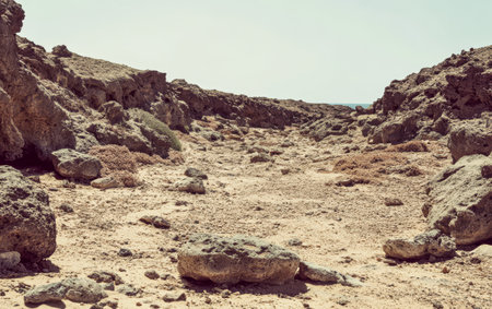 A rugged terrain features large rocks and minimal vegetation under the clear blue sky. The landscape slopes toward the ocean revealing a sense of isolation.の素材
