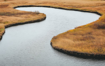 A winding river flows through expansive grasslands reflecting the soft hues of nature. The golden grass sways gently in the breeze creating a serene atmosphere at dusk.の素材