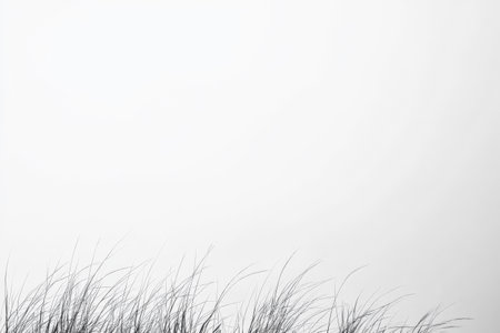 Tall grass elegantly sways in the wind against a blank white sky. The scene conveys tranquility and a connection to nature during mid-afternoon. No distractions present just simplicity and calm.の素材