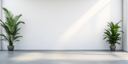 Spacious room with white walls and sunlight filtering through showcasing two green plants in simple pots. The minimalist design creates a calm and inviting atmosphere.の素材