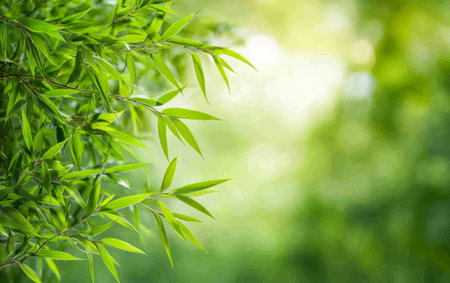 Bright green bamboo leaves are captured in soft focus illuminated by sunlight that filters through a lush forest canopy. The vibrant greenery creates a peaceful natural atmosphere.の素材