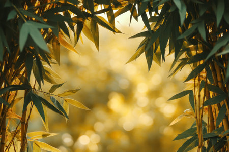 Soft golden light shines through lush bamboo leaves creating a serene and calming atmosphere. This natural setting invites contemplation and appreciation for the beauty of the outdoors.の素材